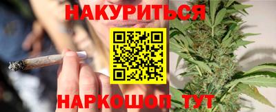 дживик Кингисепп