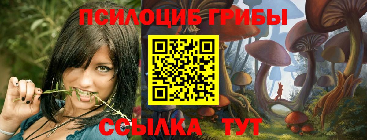 Псилоцибиновые грибы GOLDEN TEACHER  Вход с VPN  Слободской 